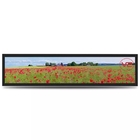 24 28 Inch TFT Ultra Wide LCD Signage Stretched Bar Advertising Display